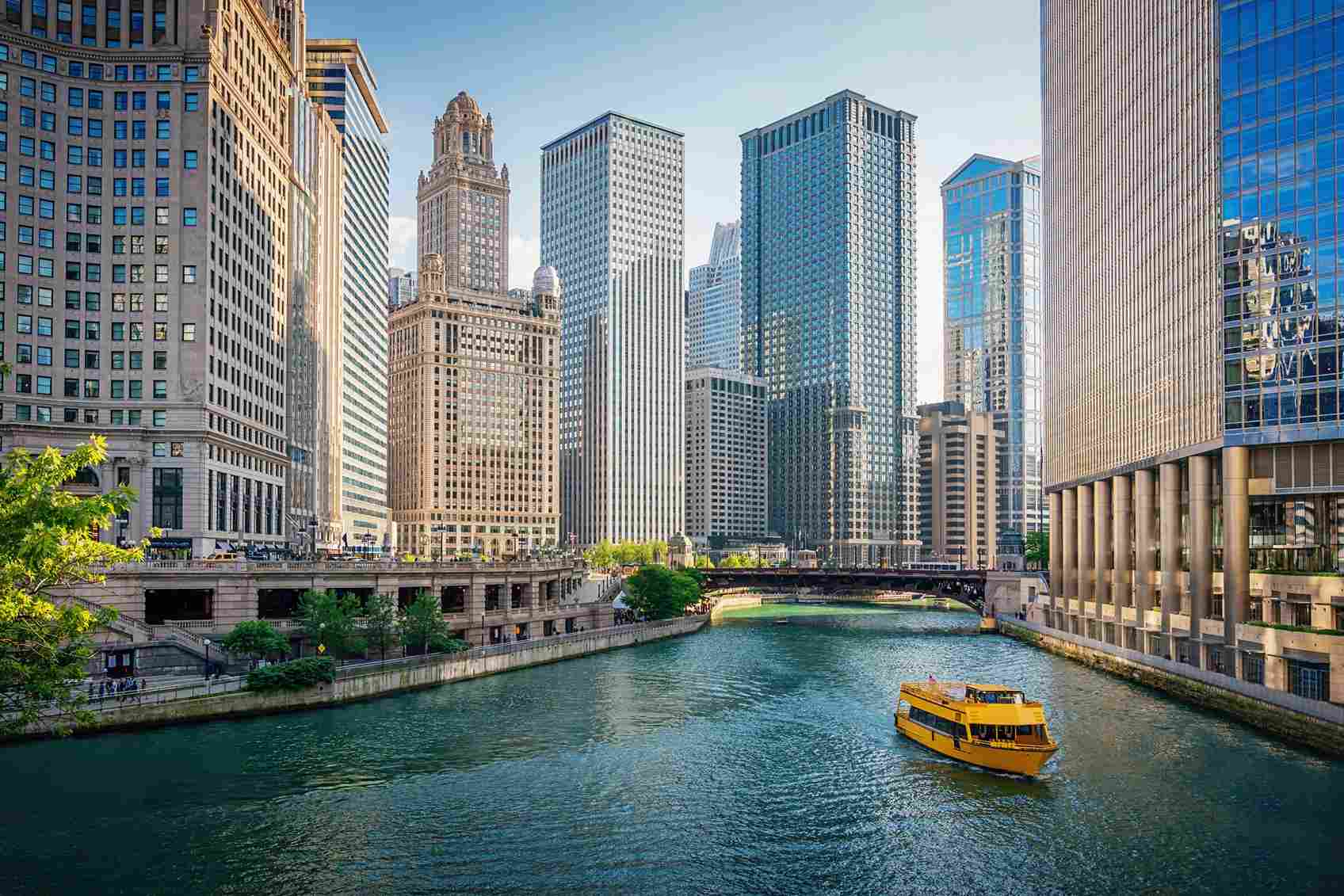 study in usa for international